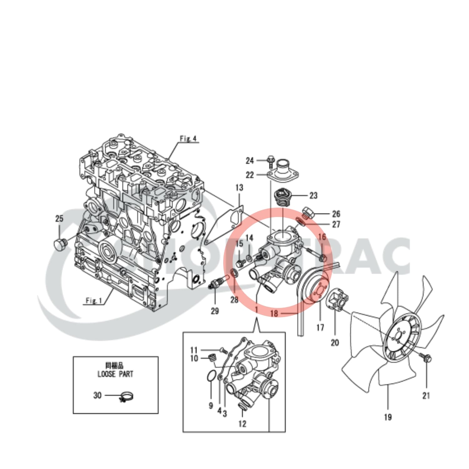 Pompe à eau Yanmar 3TNA76 | 3TNV76 | 3TNV76-KW | 3D76 Komatsu | 3TNV76-XMR | Wacker Neuson E12-02 | E12-04 - 2